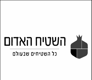 לוגואים-19